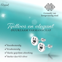Schorpioen Oorbellen RVS Zilverkleurig &acirc;&euro;&ldquo; 8mm &acirc;&euro;&ldquo; Dieren oorsteke