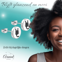 Schorpioen Oorbellen Zilverkleurig RVS &acirc;&euro;&ldquo; 8mm &acirc;&euro;&ldquo; Dieren oorsteke