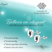 Schorpioen Oorbellen Zilverkleurig RVS &acirc;&euro;&ldquo; 8mm &acirc;&euro;&ldquo; Dieren oorsteke