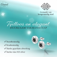 Spin Oorbellen Zilverkleurig RVS &acirc;&euro;&ldquo; 10mm &acirc;&euro;&ldquo; Uniseks Dierenoorste