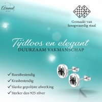 Spin Oorbellen Zilverkleurig RVS &acirc;&euro;&ldquo; 10mm &acirc;&euro;&ldquo; Uniseks Dierenoorste