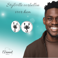 Schorpioen Oorbellen Zilverkleurig RVS &acirc;&euro;&ldquo; 8mm &acirc;&euro;&ldquo; Uniseks Diereno
