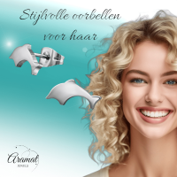 Dolfijn Oorbellen Zilverkleurig RVS &acirc;&euro;&ldquo; 11x6mm &acirc;&euro;&ldquo; Uniseks Diereno