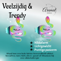 Slang Oorbellen Regenboog RVS &acirc;&euro;&ldquo; 12x7mm &acirc;&euro;&ldquo; Uniseks Dierenoorbell
