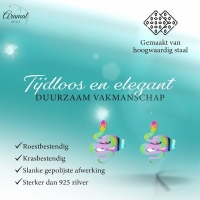Slang Oorbellen Regenboog RVS &acirc;&euro;&ldquo; 12x7mm &acirc;&euro;&ldquo; Uniseks Dierenoorbell