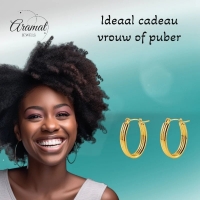 Goudkleurige Ovale Oorringen 26mm -