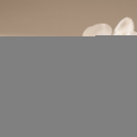 Goudkleurige Triple Oorringen RVS met Streepjesmotief 20x7,5mm -