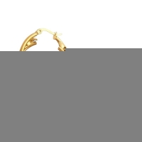 Triple Oorringen Rond 25x7mm - Goudkleurig RVS -