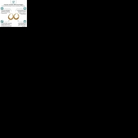Triple Gedraaide Oorringen Rond Goudkleurig - 25x7mm -