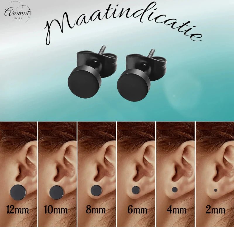 Ronde Zwarte Oorknopjes 6 mm &acirc;&euro;&ldquo; RVS -