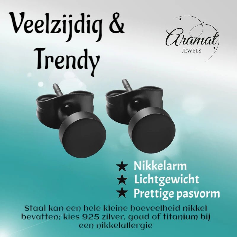 Ronde Zwarte Oorknopjes 6 mm &acirc;&euro;&ldquo; RVS -