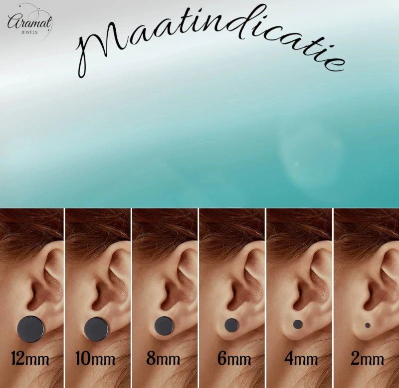 Ronde Zwarte Oorknopjes 5mm &acirc;&euro;&ldquo; RVS -