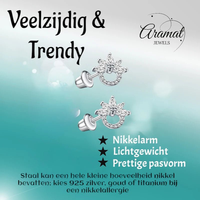 Stalen zirkonia Oorbellen 10mm -schroefsluiting -
