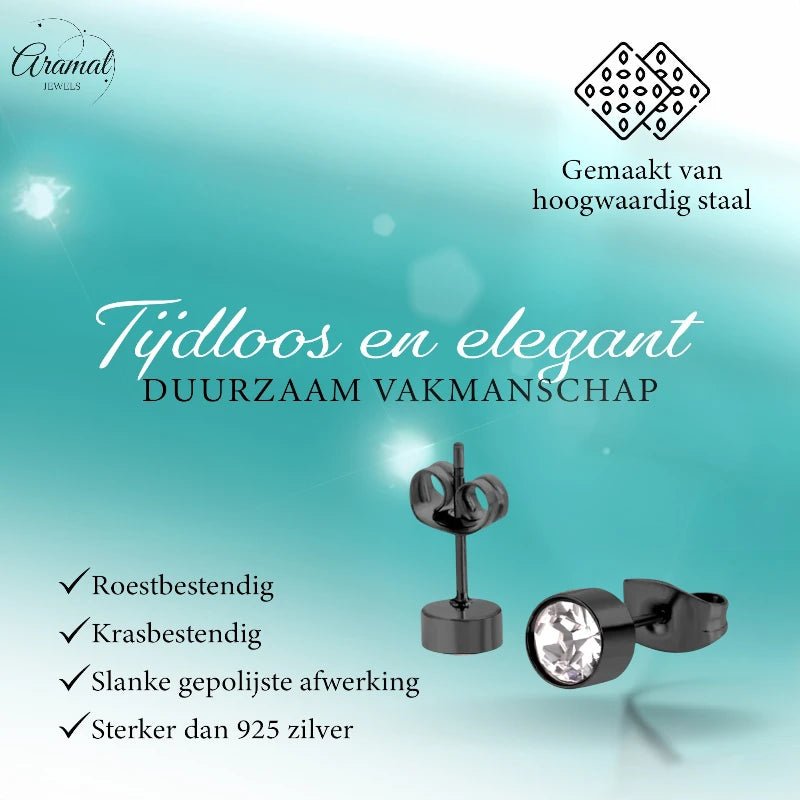 Zwarte Kristallen Oorbellen 5mm &acirc;&euro;&ldquo; Staal -