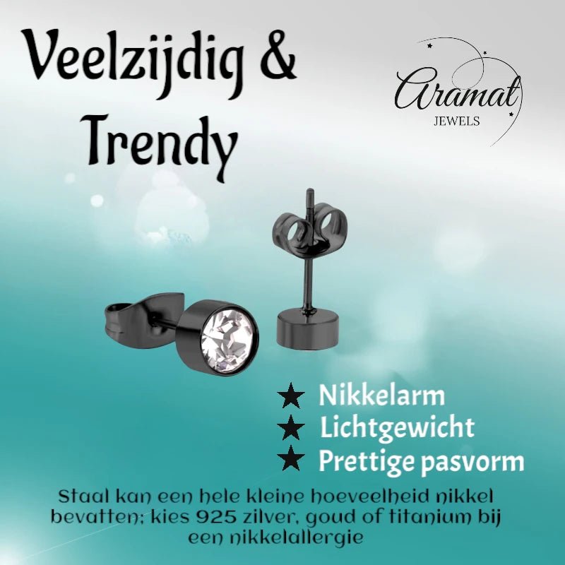 Zwarte Kristallen Oorbellen 5mm &acirc;&euro;&ldquo; Staal -