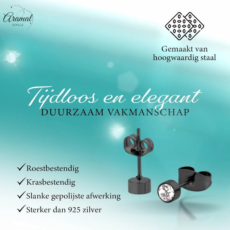 Zwarte Oorbellen met Kristal | 4mm Uniseks -