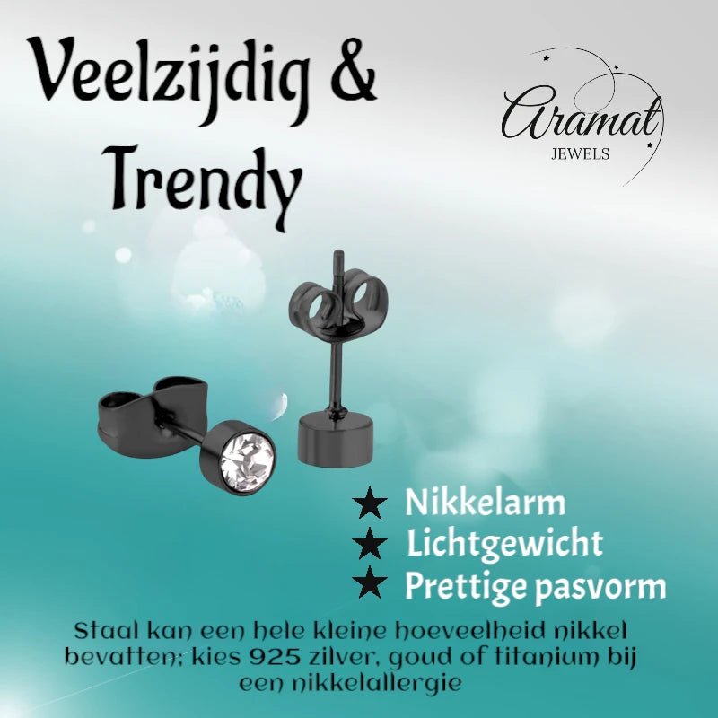 Zwarte Oorbellen met Kristal | 4mm Uniseks -