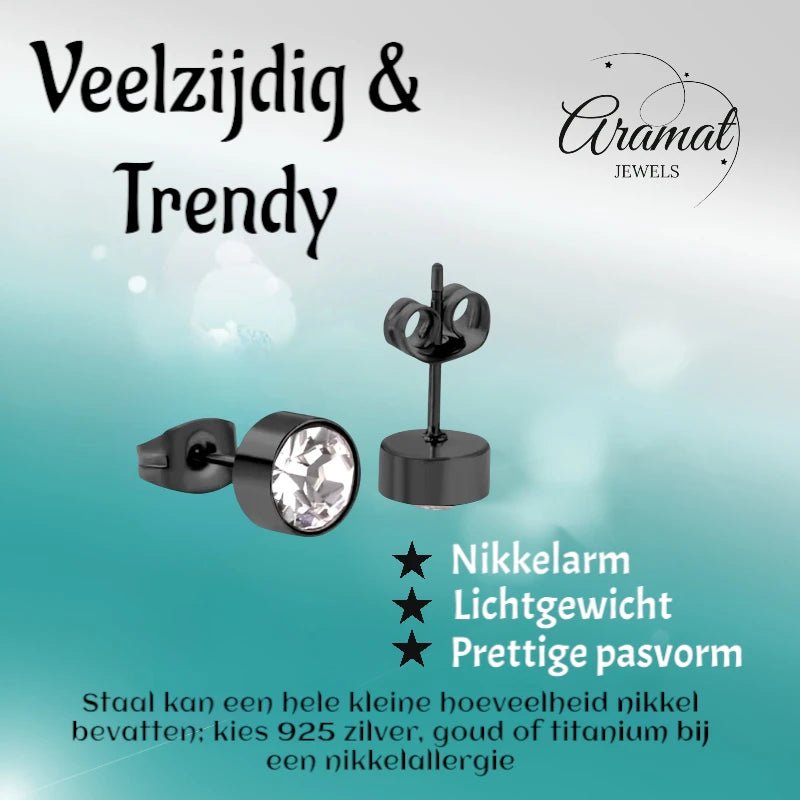 Zwarte Kristal Oorbellen Staal | 7mm -