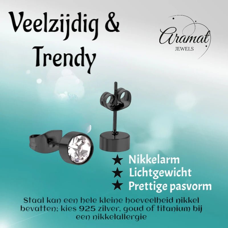 Zwarte Stalen Oorbellen met Kristal | 6mm -