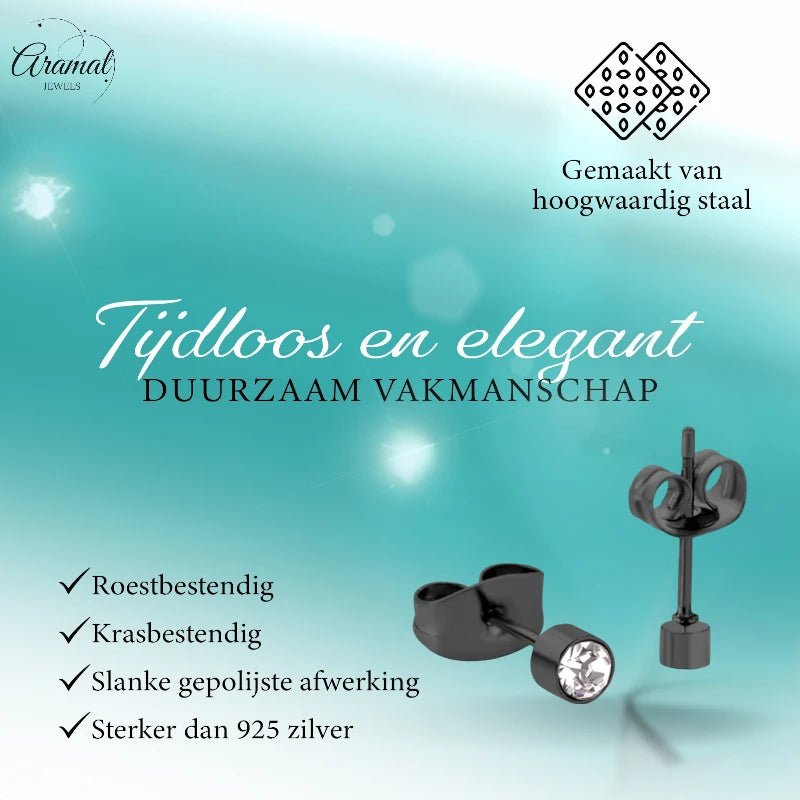 Kleine Stalen Oorbellen met Transparant Kristal | 3mm -