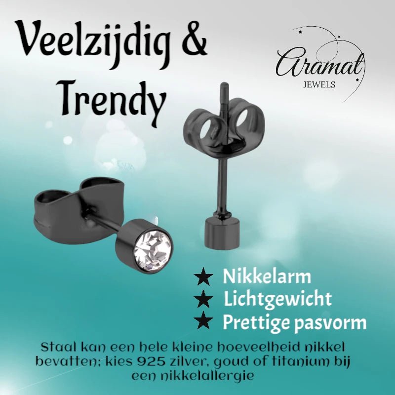 Kleine Stalen Oorbellen met Transparant Kristal | 3mm -