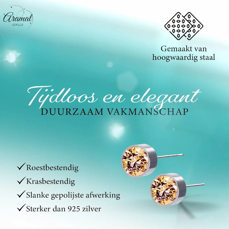 Stalen Oorbellen Champagne Kristal 6mm -