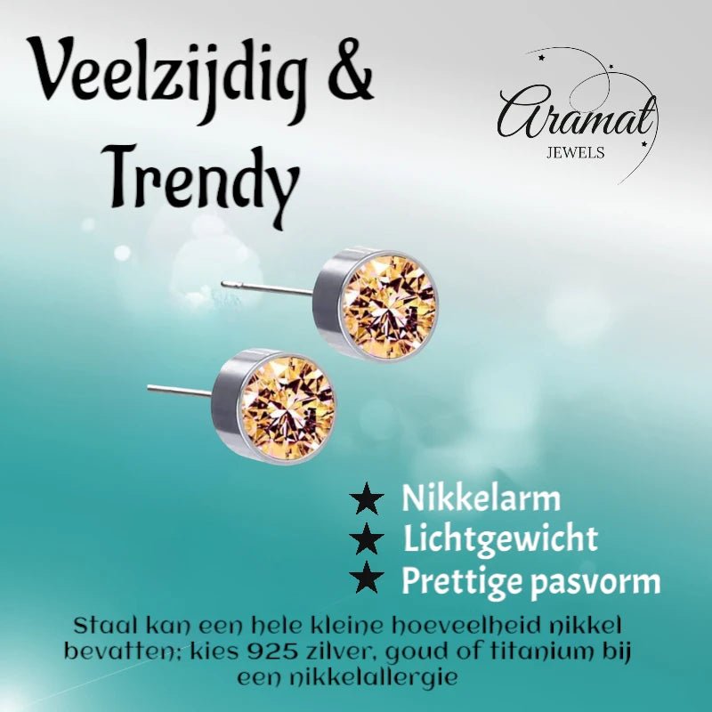 Stalen Oorbellen Champagne Kristal 6mm -