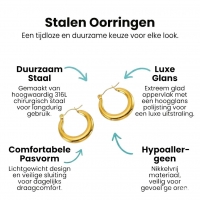 Goudkleurige RVS Oorringen Glad en Breed 20x4mm -