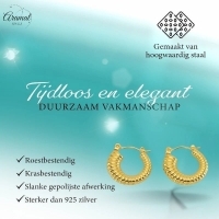 Goudkleurige Stainless Steel Oorringen 20mm - Creolen -