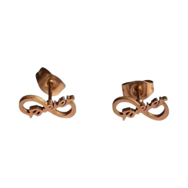 Stalen Infinity Oorbellen 11x5mm - Ros&Atilde;&copy;kleur - Forever - Dames