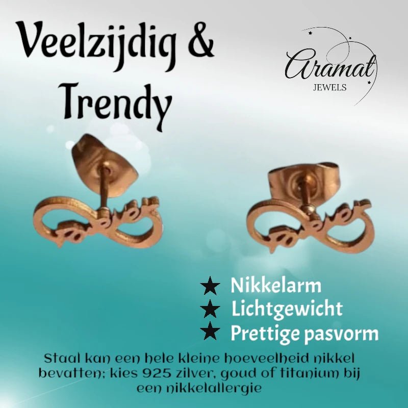 Stalen Infinity Oorbellen 11x5mm - Ros&Atilde;&copy;kleur - Forever - Dames