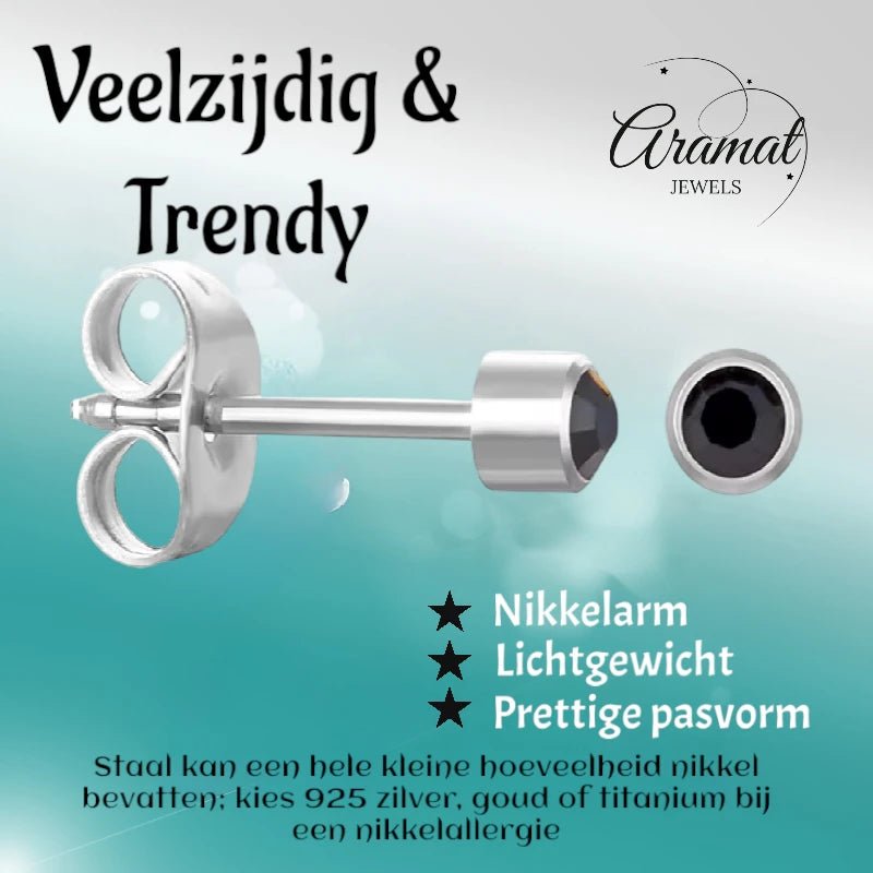 RVS Kristallen Oorbellen Zwart 3mm - Kleine Zwarte Oorstekers -