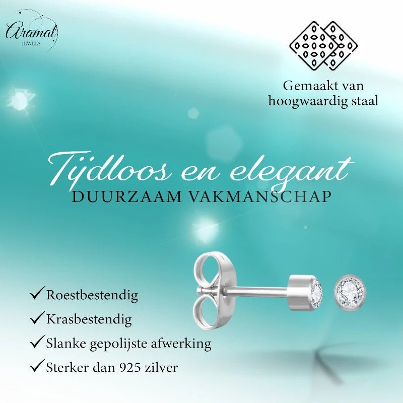 Stalen Kristallen Oorbellen - 3mm - Transparant -