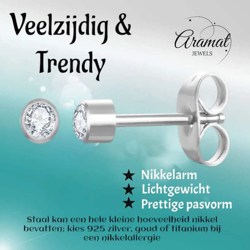 Stalen Kristallen Oorbellen - 3mm - Transparant -