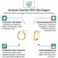 RVS Goudkleurige Oorringetjes 10mm- zigzag motief -