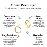 RVS Goudkleurige Oorringetjes 10mm- zigzag motief -