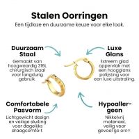 RVS Goudkleurige Oorringetjes 10mm- streepmotief -