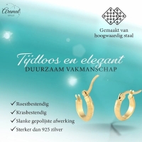 RVS Goudkleurige Oorringetjes 10mm- streepmotief -
