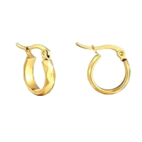 RVS Goudkleurige Oorringetjes 10mm- Kleine Hoops -
