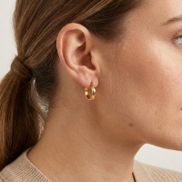 RVS Goudkleurige Oorringetjes 10mm- Kleine Hoops -