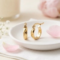 RVS Goudkleurige Oorringetjes 10mm- Kleine Hoops -