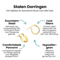 RVS Goudkleurige Oorringetjes 10mm- Kleine Hoops -