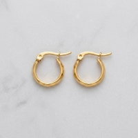 RVS Goudkleurige Oorringetjes 10mm- Kleine Hoops -