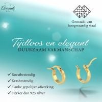 RVS Goudkleurige Oorringetjes 10mm- Kleine Hoops -