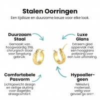 Goudkleurige Stainless Steel Oorringetjes 10mm -