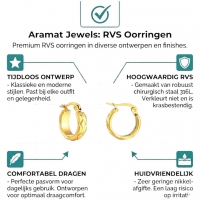 Goudkleurige Stainless Steel Oorringetjes 10mm -