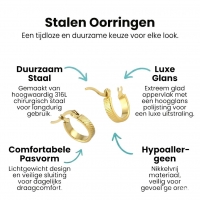 RVS Goudkleurige Oorringetjes - Stijlvol & Klein -