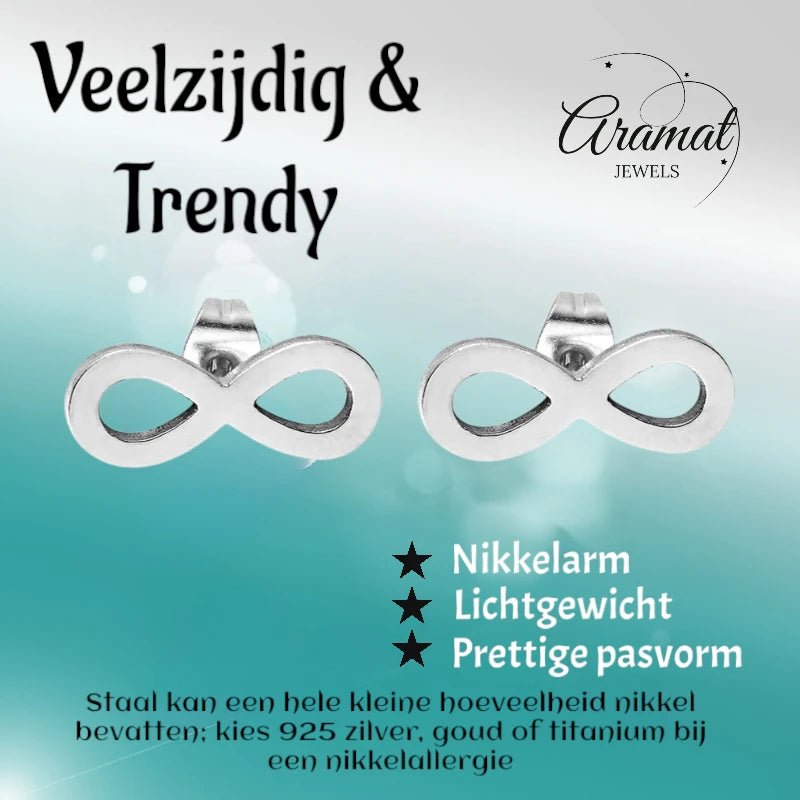 Stalen Infinity Oorbellen zilverkleurig 10x4mm -