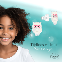 Echt Zilveren Uiltjes Oorbellen - Wit Emaille - Geschenk -