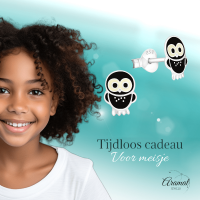 Trendy Zilveren Uiltjes Oorbellen - Zwart Emaille -